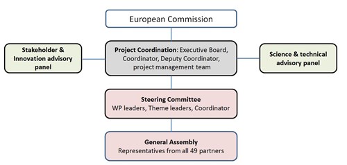 project management structure